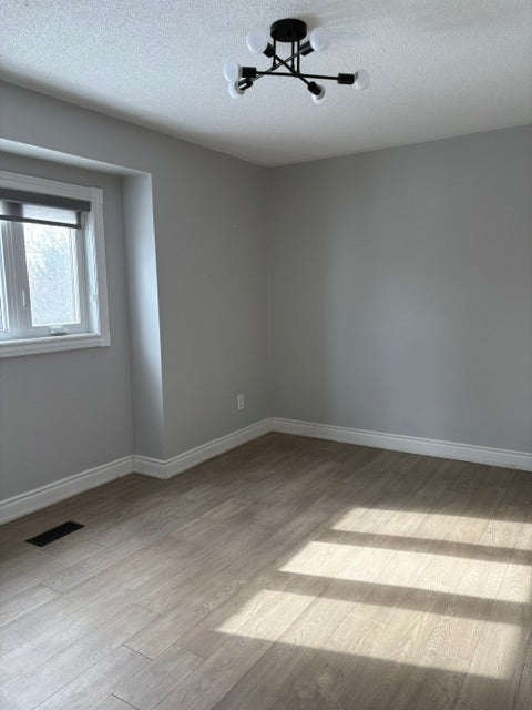 Grey wall painting project completed by Grizzly Finish